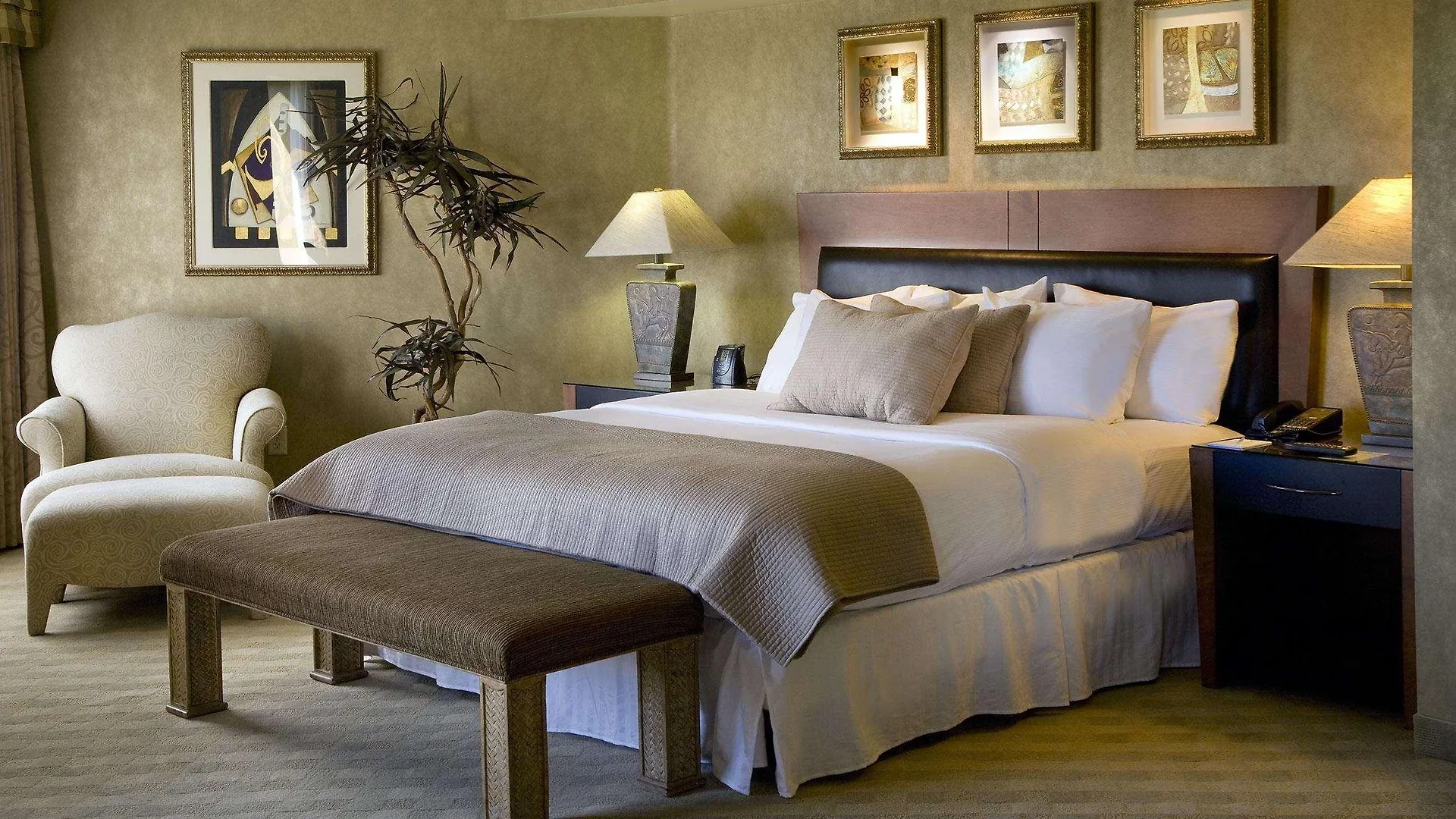 Hotel Embassy Suites By Hilton Phoenix Scottsdale